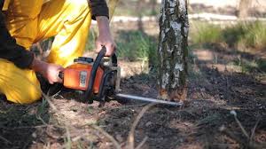 Best Lawn Irrigation Installation and Maintenance  in Laughlin Af, TX