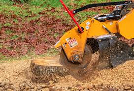 Best Organic Lawn Care Solutions  in Laughlin Af, TX